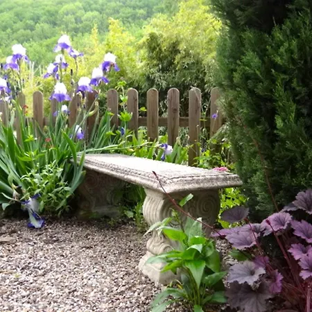 Chez Providence Chambres Et Table D'Hotes Bed & Breakfast *