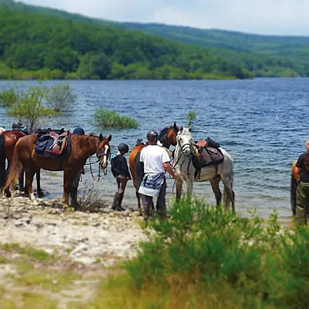 Chez Providence D'hotes Oda ve Kahvaltı Cuxac-Cabardès