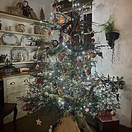 Chez Providence D'hotes Oda ve Kahvaltı
